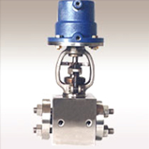 Globe Valve : Bolted Bonnet